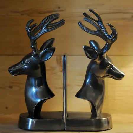 Hotel Arc-en-ciel Gstaad