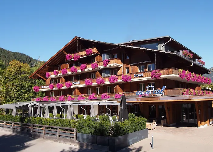 Arc-en-ciel Hotel Gstaad